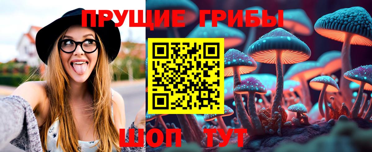 Галлюциногенные грибы Cubensis  Вход с VPN  Полевской 